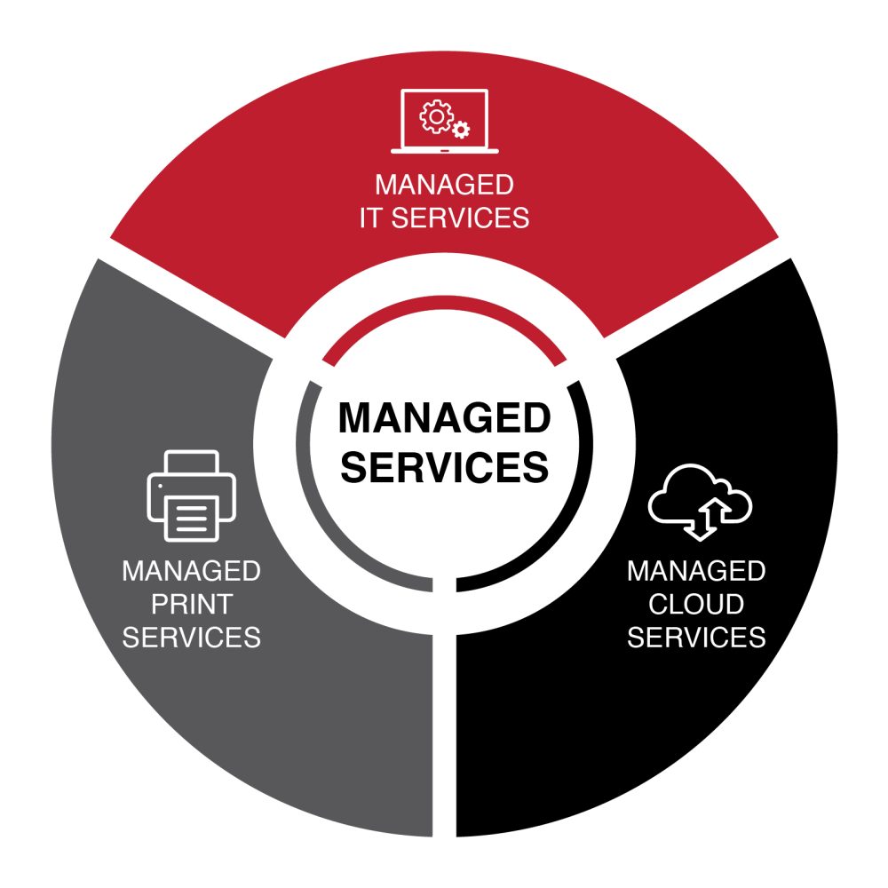 Managed Services – Assett Professional Services